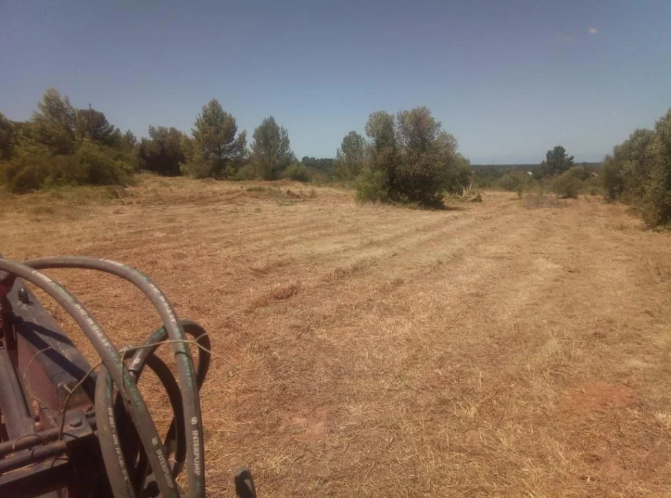 Terreno para Venda em Aldeia de são Pedro Foto 1