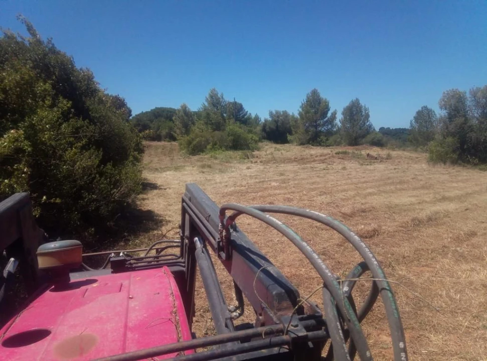 Terreno para Venda em Aldeia de são Pedro Foto 2
