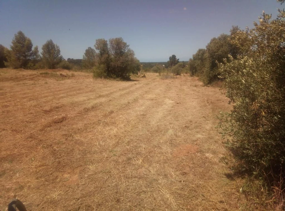 Terreno para Venda em Aldeia de são Pedro Foto 3
