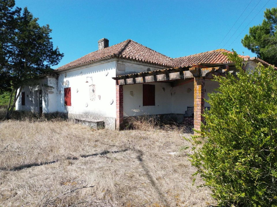 Terreno para Venda em Maça Foto 9