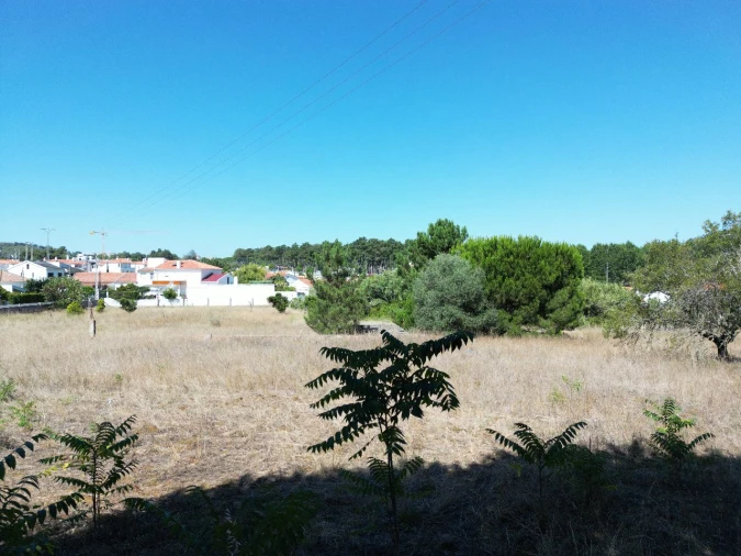 Terreno para Venda em Maça Foto 6
