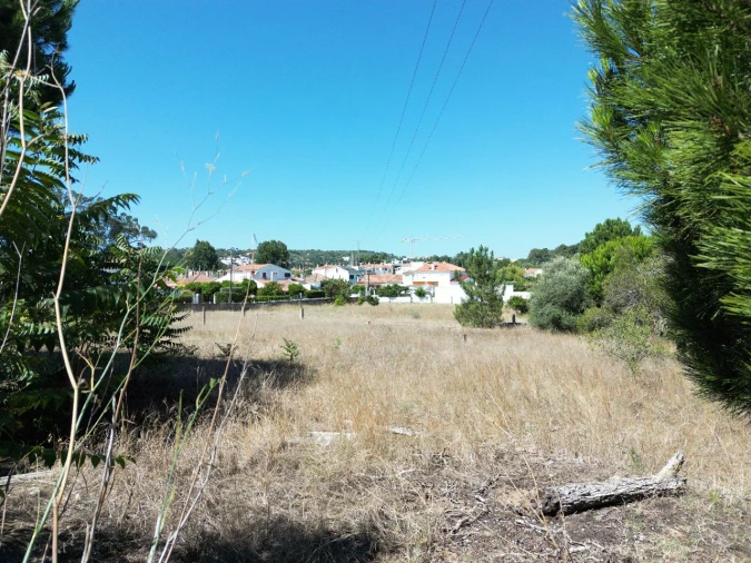 Terreno para Venda em Maça Foto 8