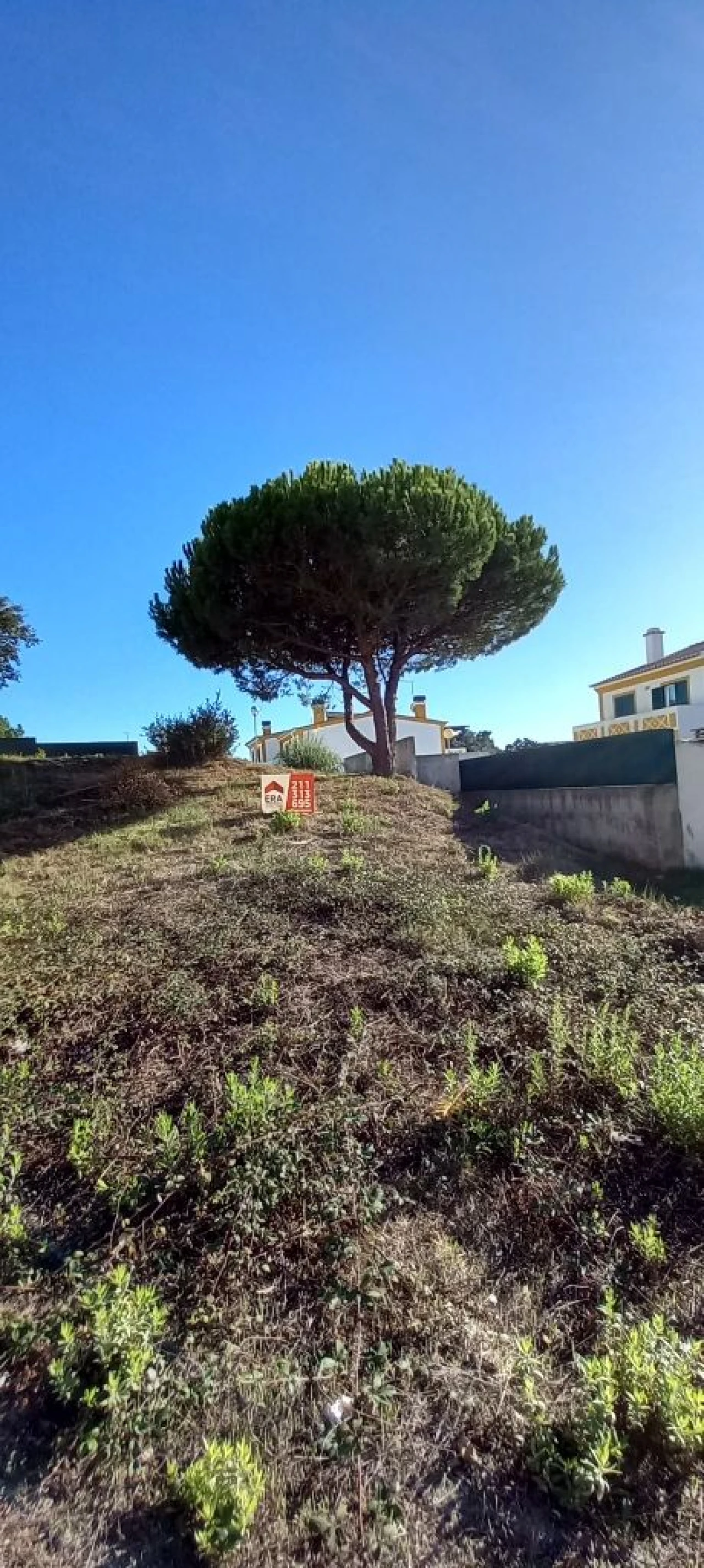 Terreno para Venda em Quintinha Foto 5