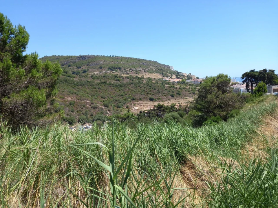 Terreno para Venda em Boiças Foto 9