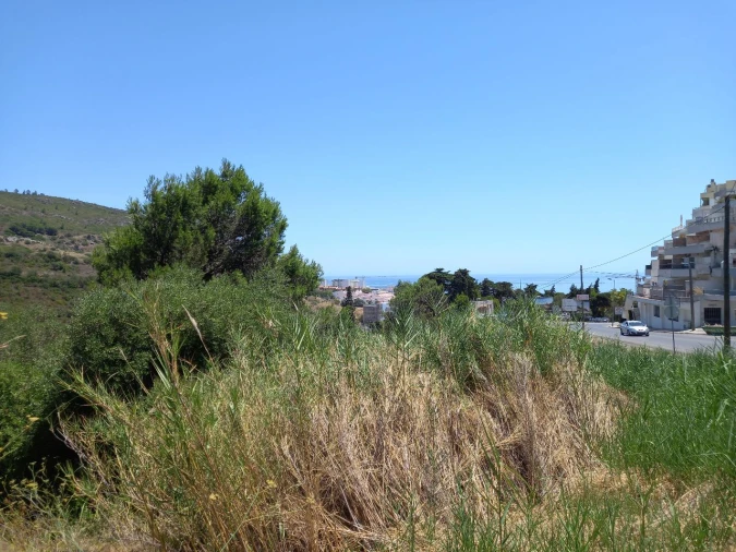 Terreno para Venda em Boiças Foto 5
