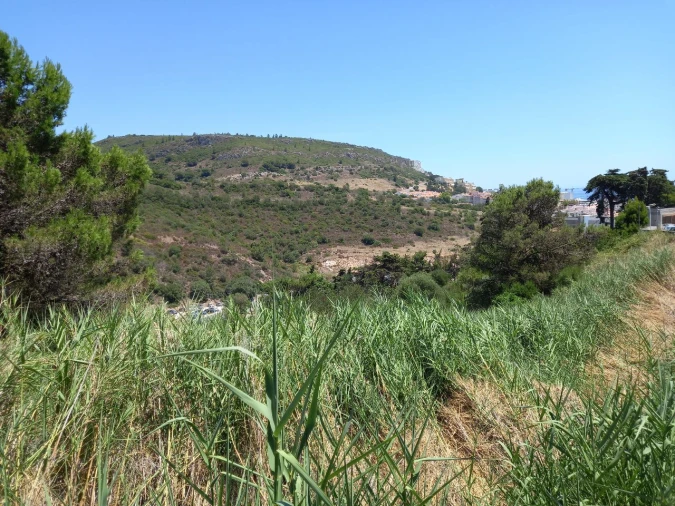 Terreno para Venda em Boiças Foto 9