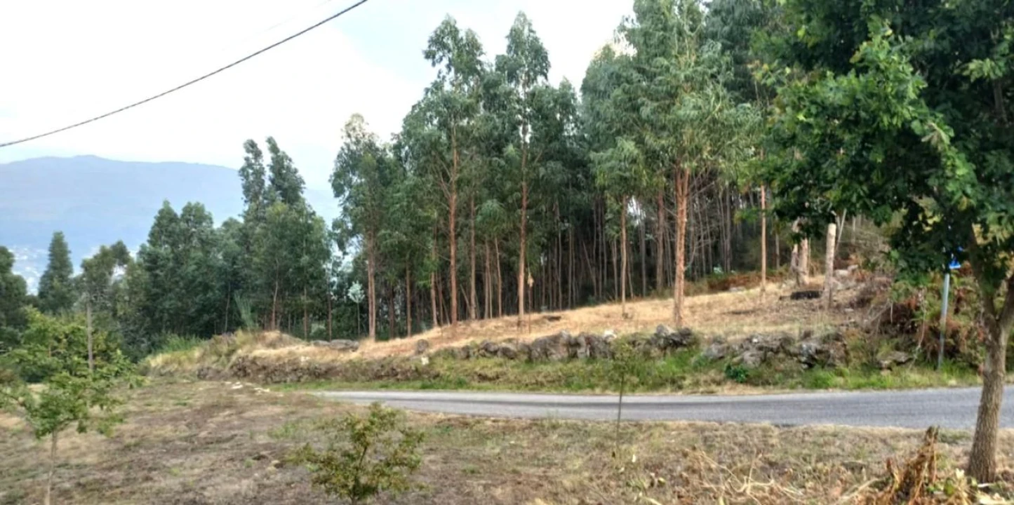 Terreno para Venda em Arcos de Valdevez Foto 4
