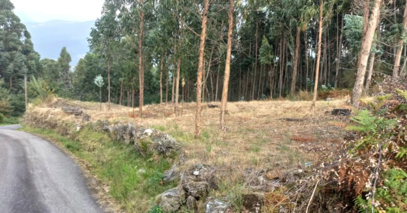 Terreno para Venda em Arcos de Valdevez Foto 9
