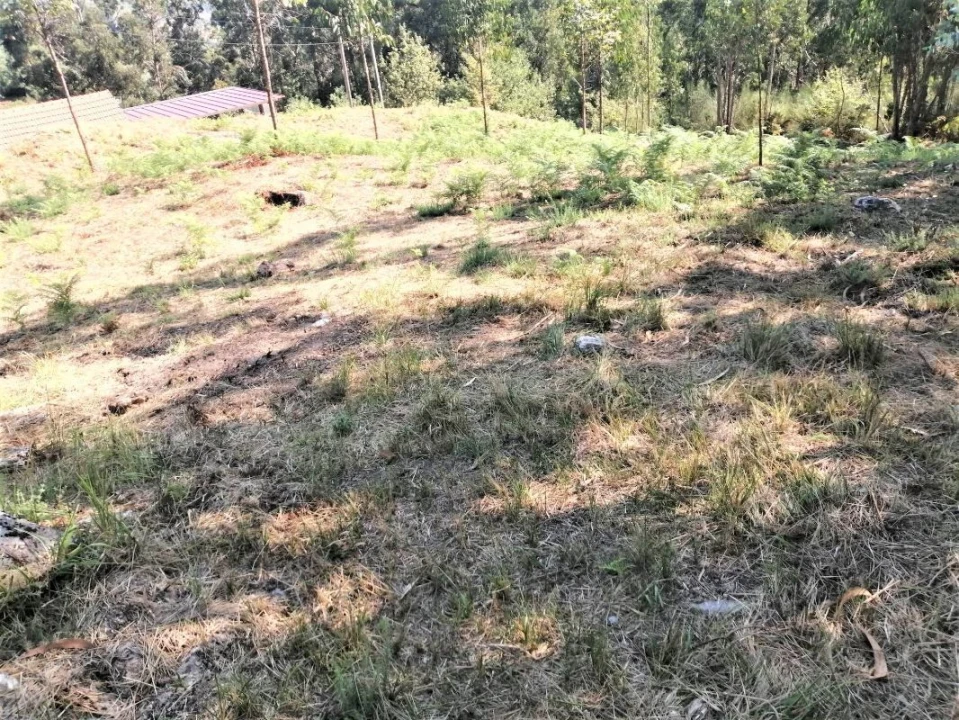 Terreno para Venda em Arcos de Valdevez Foto 10