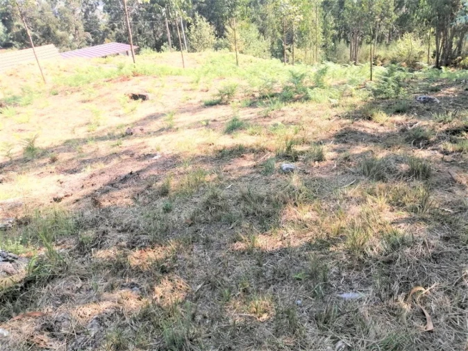 Terreno para Venda em Arcos de Valdevez Foto 5