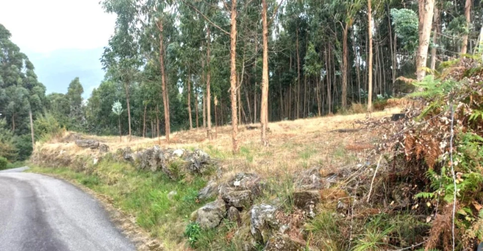 Terreno para Venda em Arcos de Valdevez Foto 7