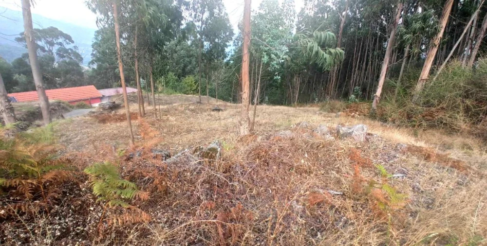 Terreno para Venda em Arcos de Valdevez Foto 2