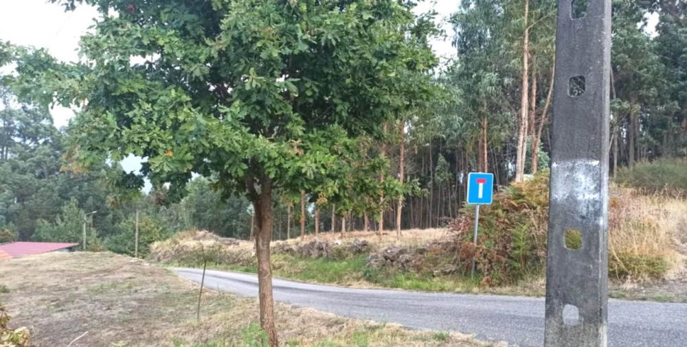 Terreno para Venda em Arcos de Valdevez Foto 3
