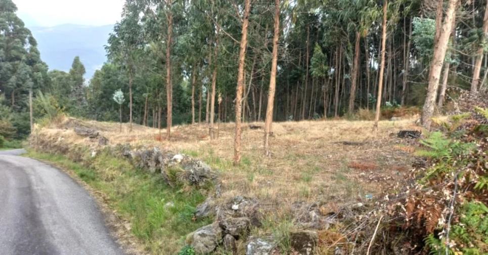 Terreno para Venda em Arcos de Valdevez Foto 9