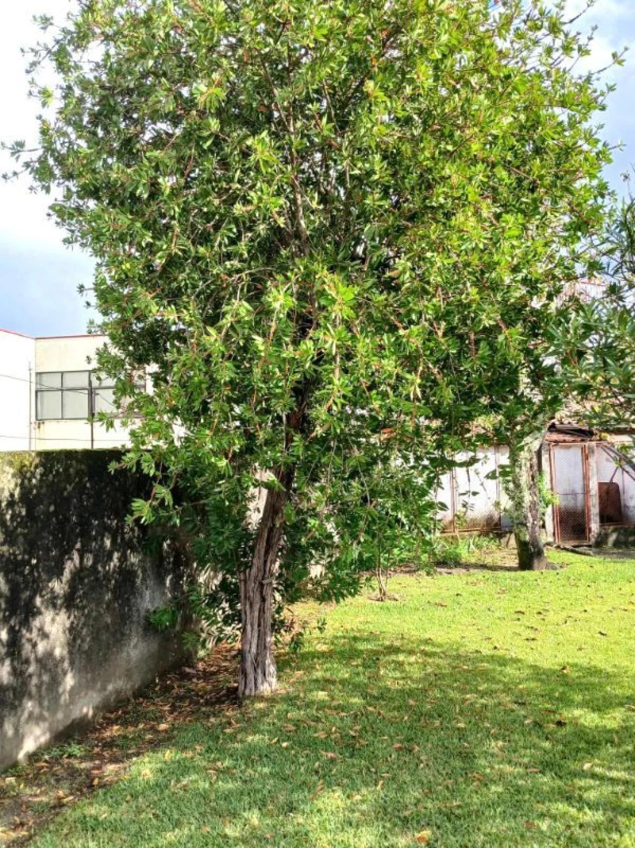 Moradia T4 para Venda em Arcos de Valdevez Foto 15