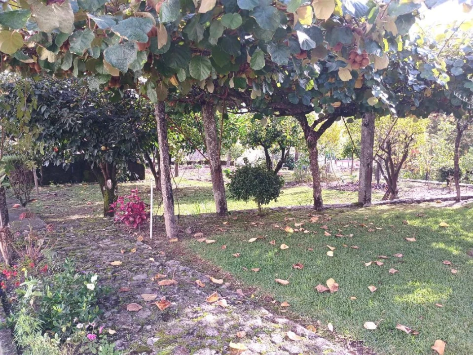 Moradia T4 para Venda em Arcos de Valdevez Foto 12