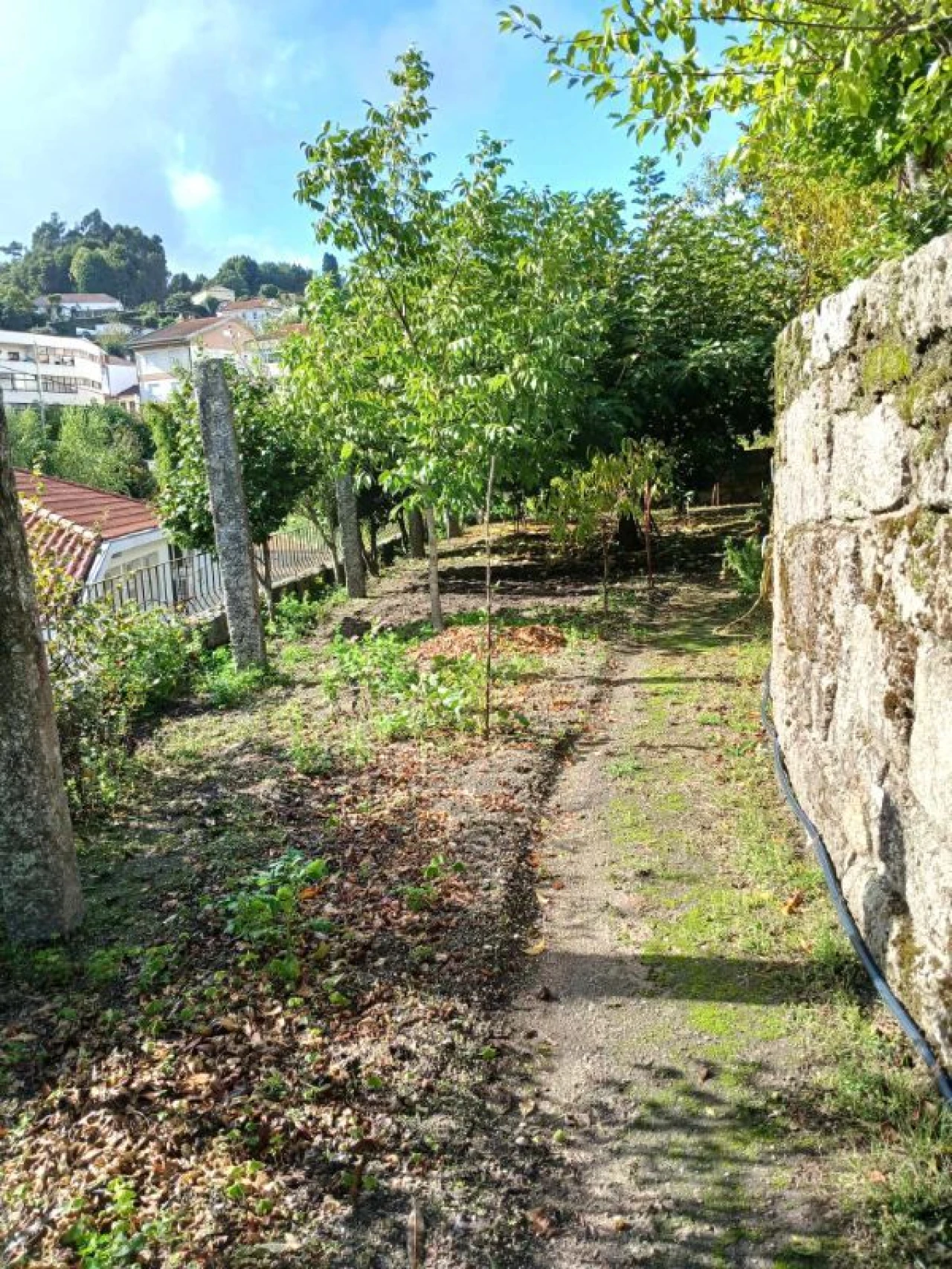 Moradia T4 para Venda em Arcos de Valdevez Foto 21