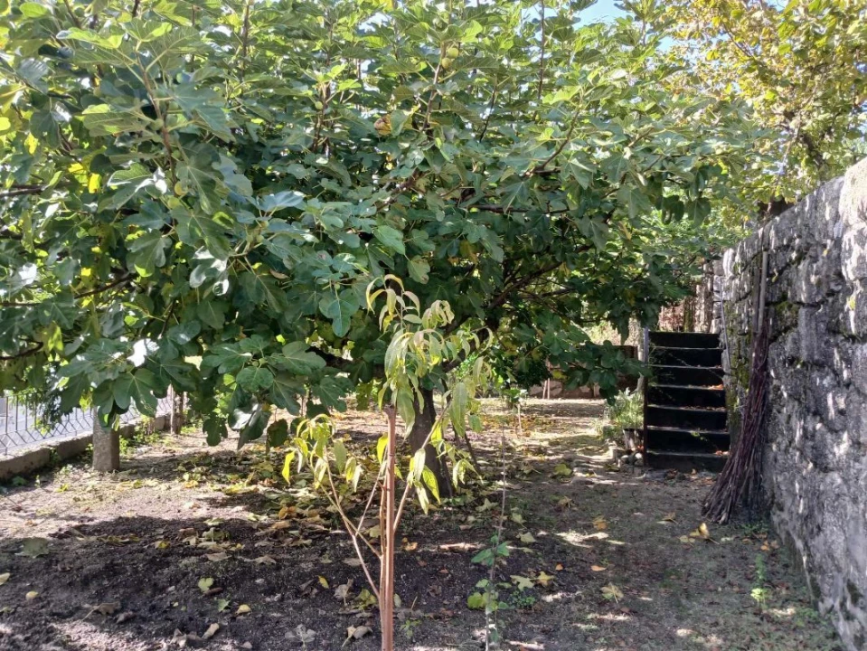 Moradia T4 para Venda em Arcos de Valdevez Foto 49