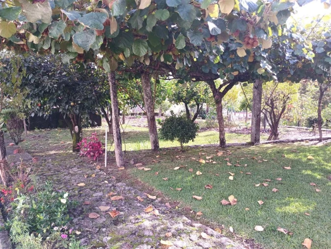 Moradia T4 para Venda em Arcos de Valdevez Foto 12