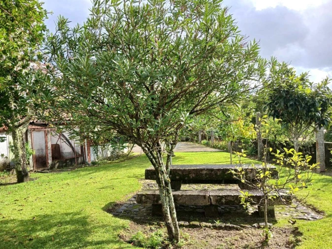 Moradia T4 para Venda em Arcos de Valdevez Foto 14