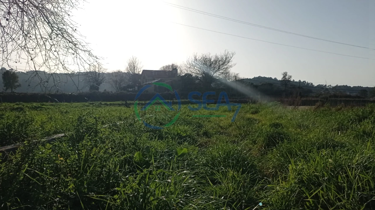 Terreno P/ Prédio para Venda em Forjães Foto 4