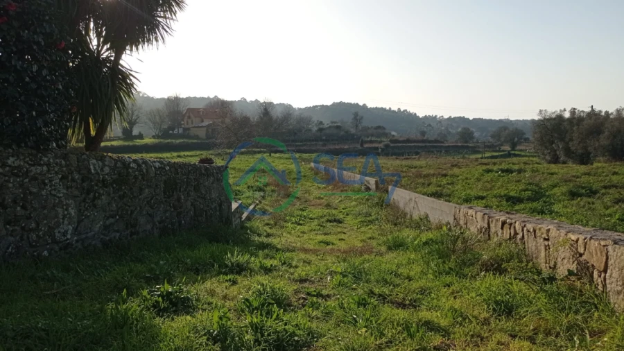 Terreno P/ Prédio para Venda em Forjães Foto 2