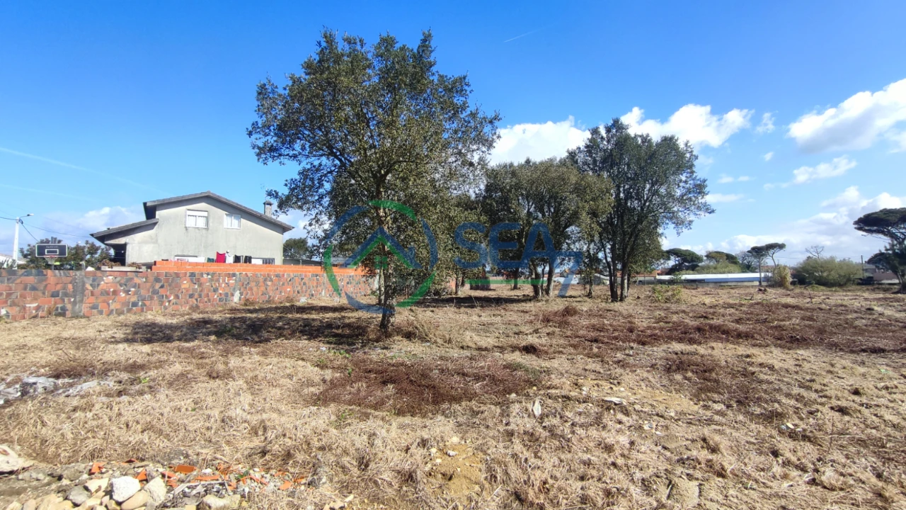 Terreno P/ Prédio para Venda em Apúlia Foto 4