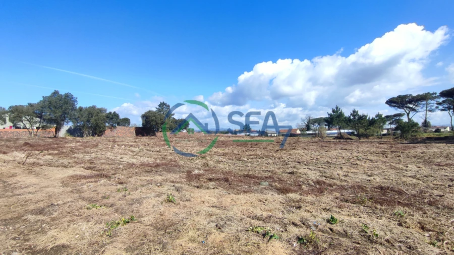 Terreno P/ Prédio para Venda em Apúlia Foto 2