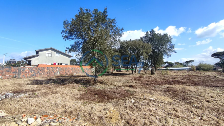 Terreno P/ Prédio para Venda em Apúlia Foto 4