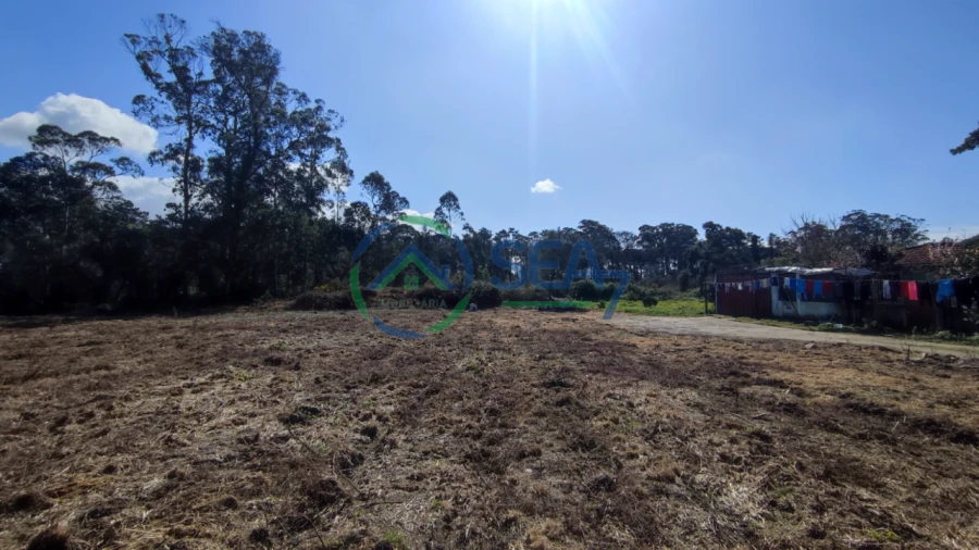 Terreno P/ Prédio para Venda em Apúlia Foto 5