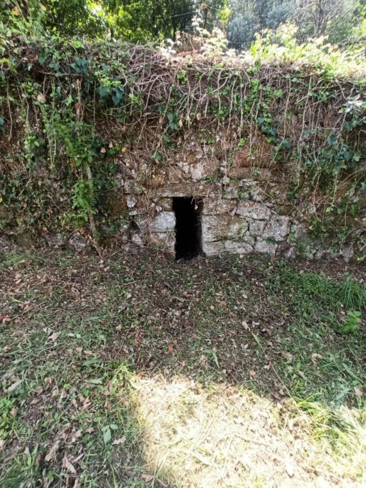 Terreno para Venda em Arcos de Valdevez Foto 16