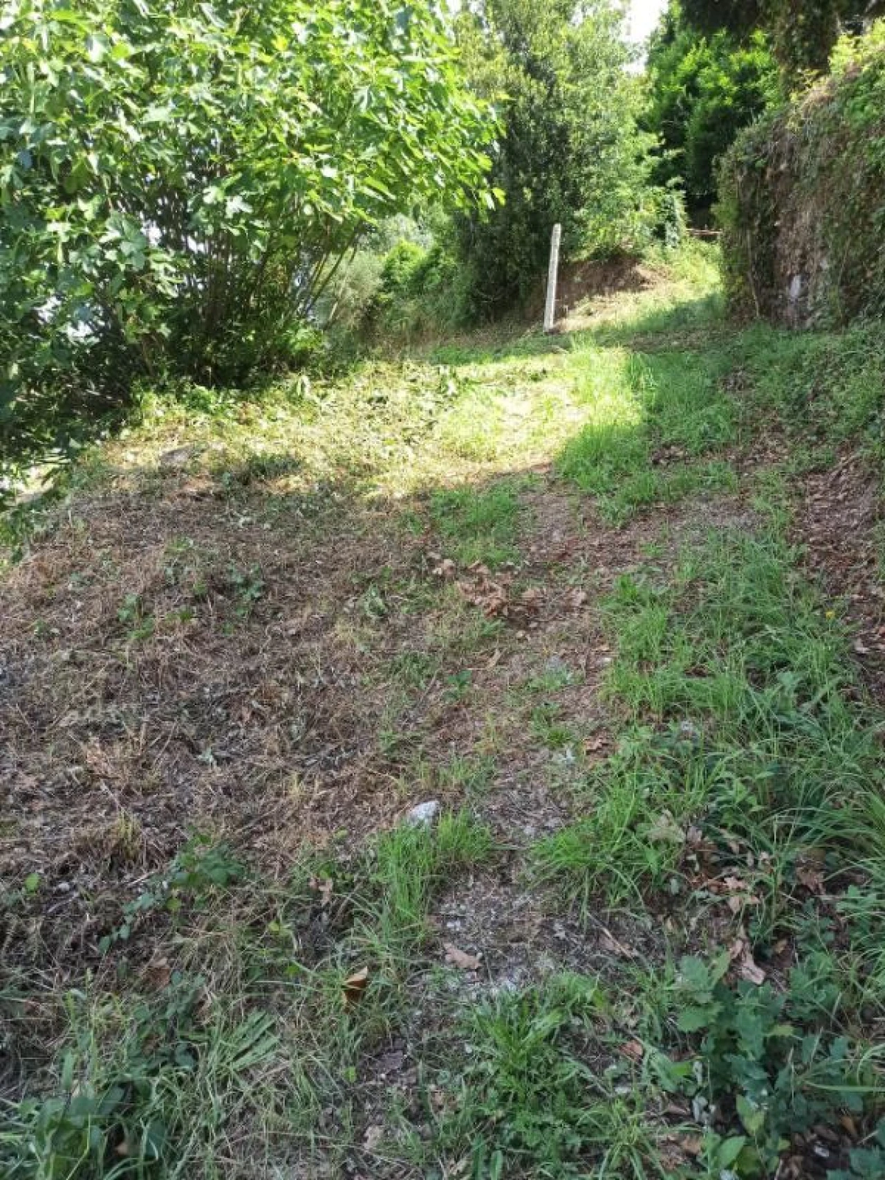 Terreno para Venda em Arcos de Valdevez Foto 18