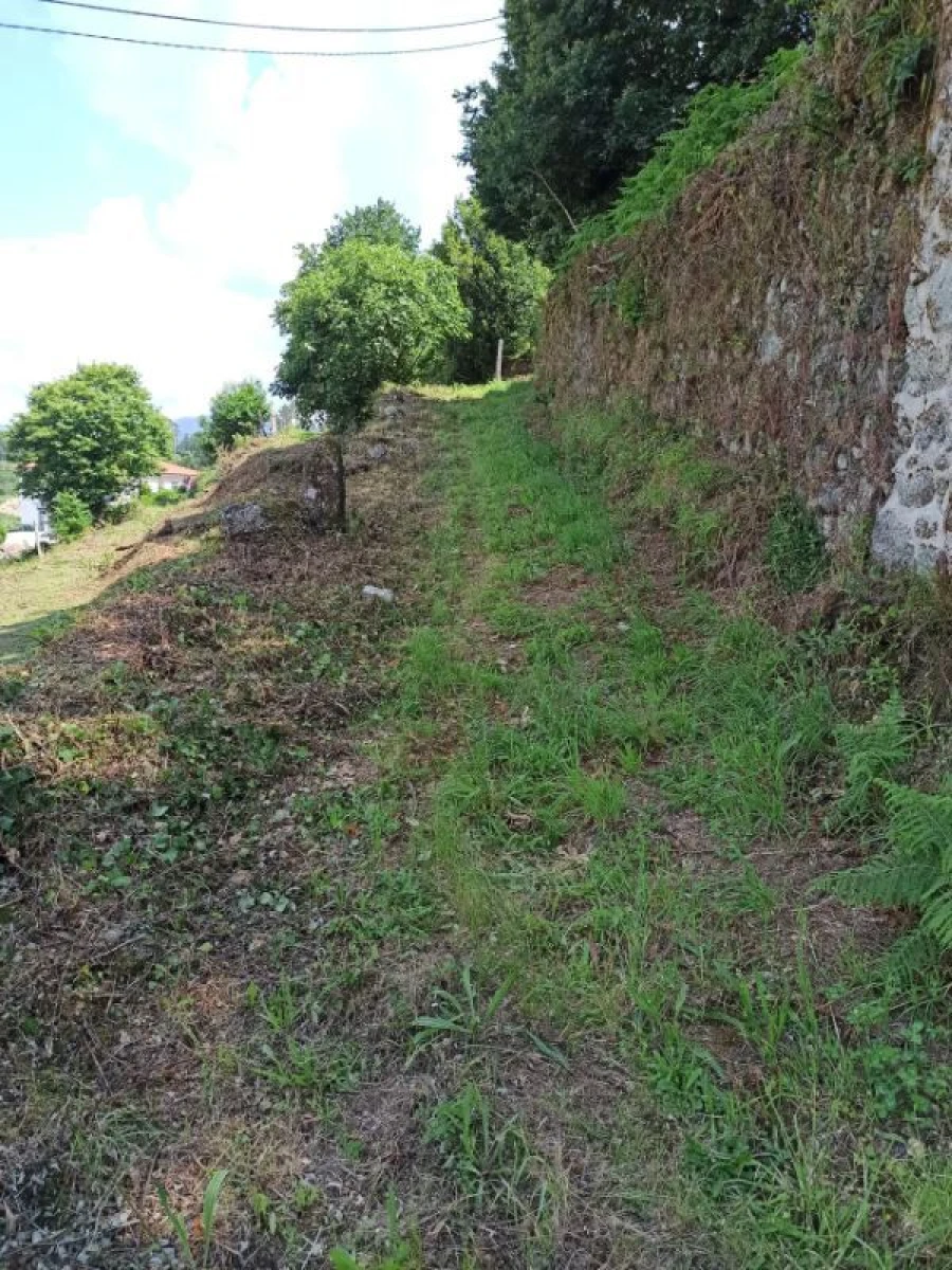 Terreno para Venda em Arcos de Valdevez Foto 15