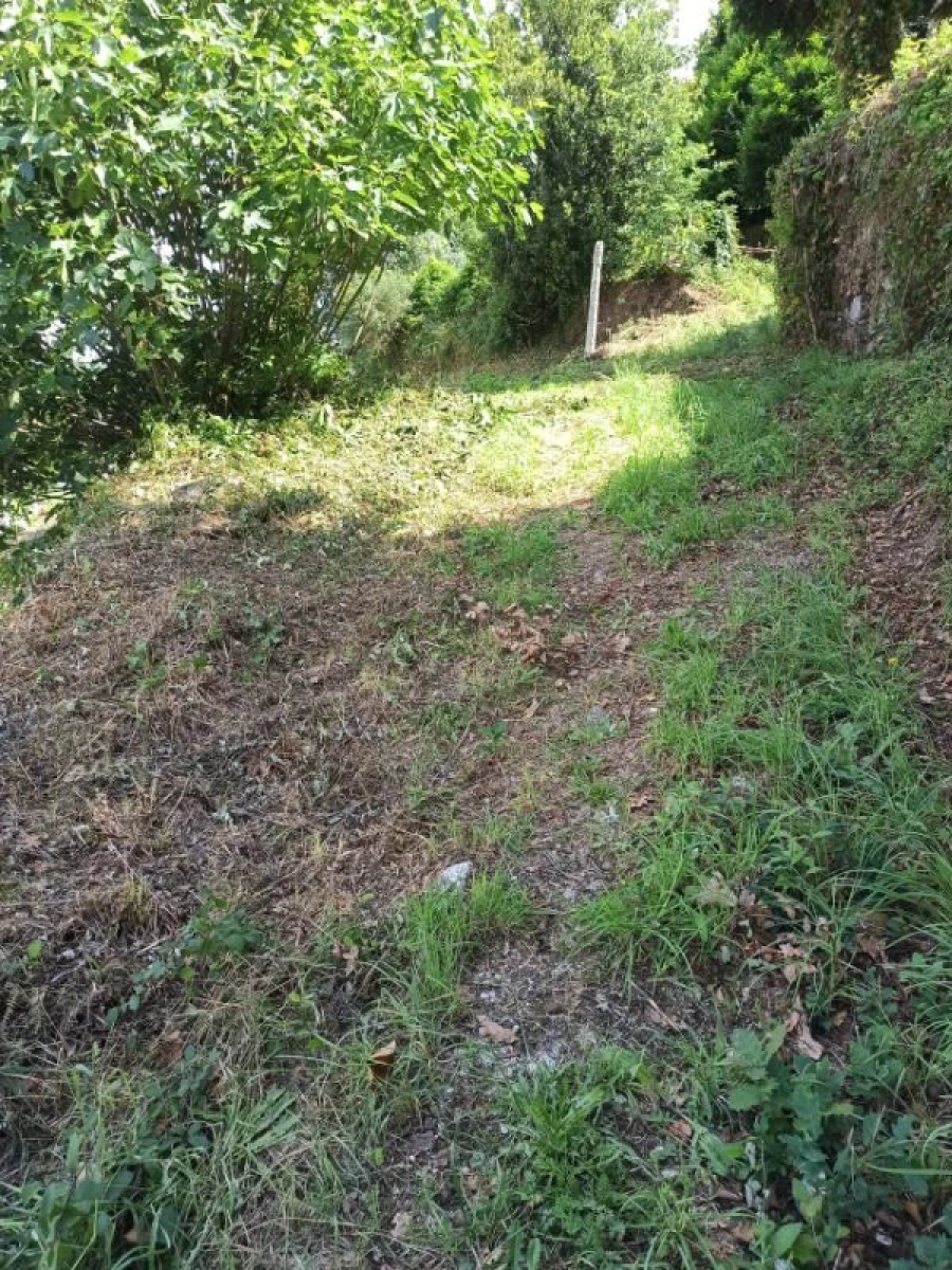 Terreno para Venda em Arcos de Valdevez Foto 18