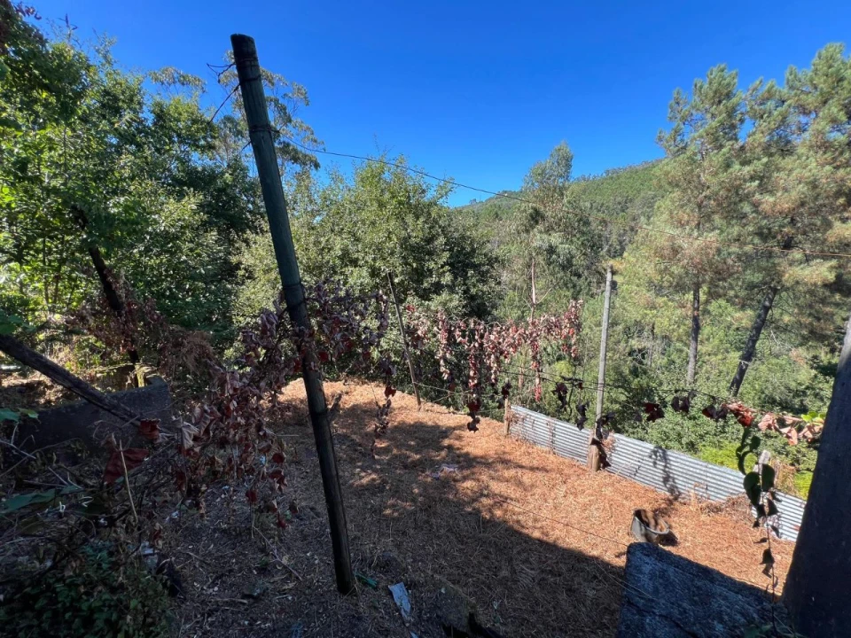 Moradia T3 para Venda em Refojos de Basto Foto 6