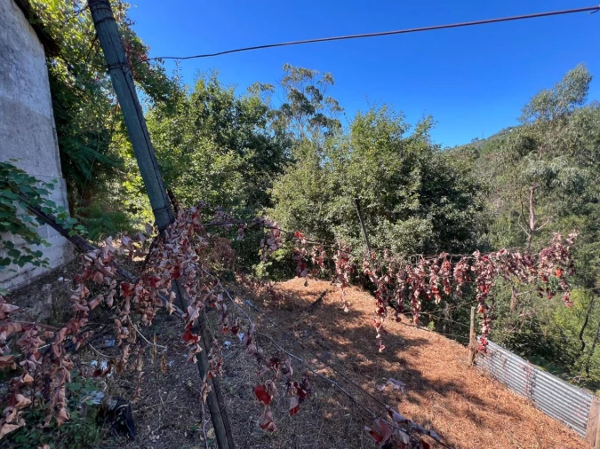 Moradia T3 para Venda em Refojos de Basto Foto 5