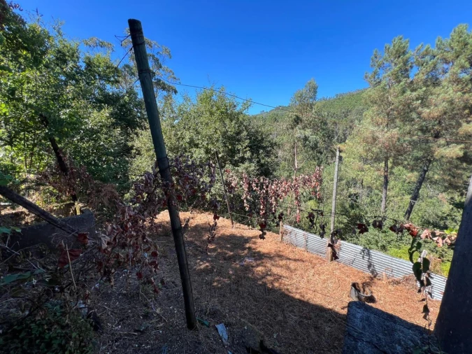 Moradia T3 para Venda em Refojos de Basto Foto 6