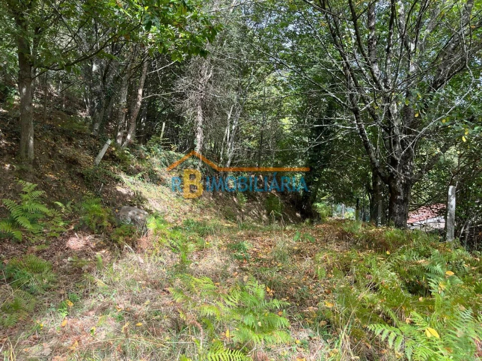 Quinta T2 para Venda em Arouca Foto 17