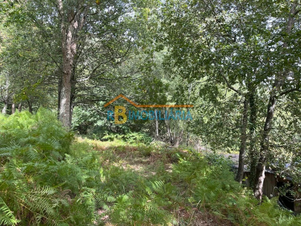 Quinta T2 para Venda em Arouca Foto 24