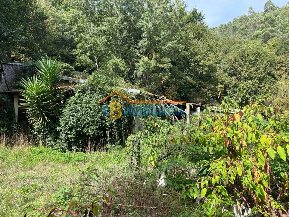 Quinta T2 para Venda em Arouca Foto 26