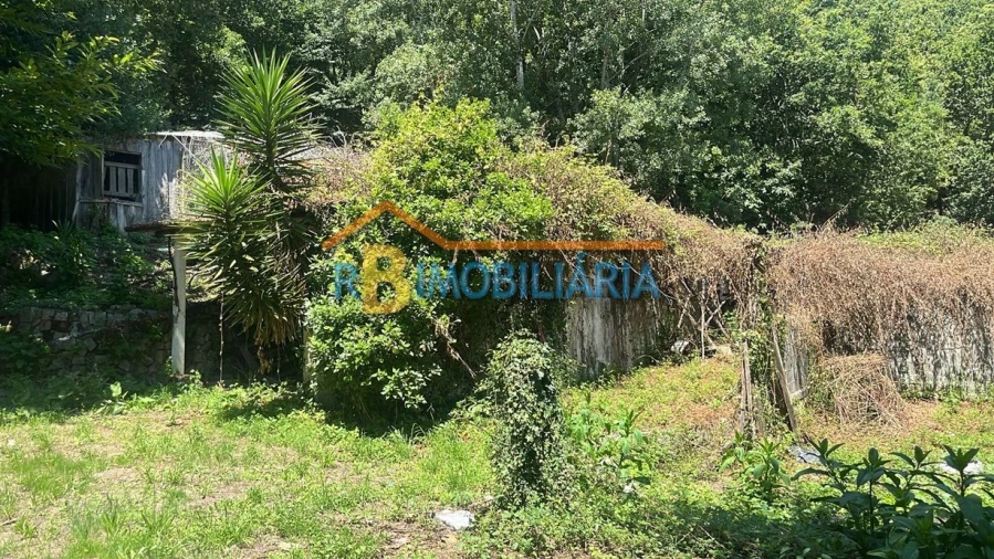 Quinta T2 para Venda em Arouca Foto 4