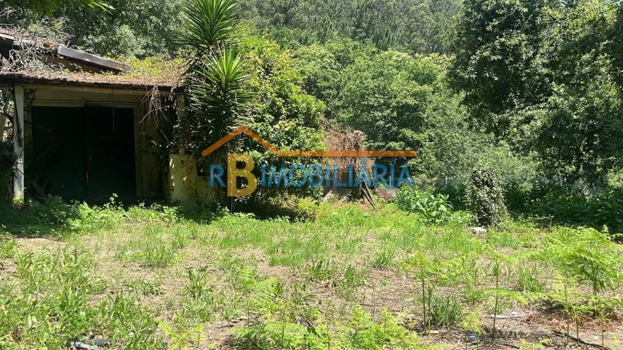 Quinta T2 para Venda em Arouca Foto 6