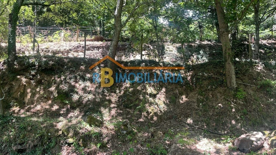 Quinta T2 para Venda em Arouca Foto 11