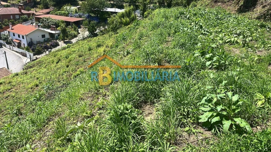 Quinta T2 para Venda em Arouca Foto 13