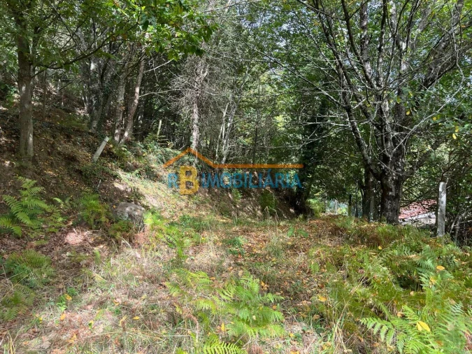 Quinta T2 para Venda em Arouca Foto 17