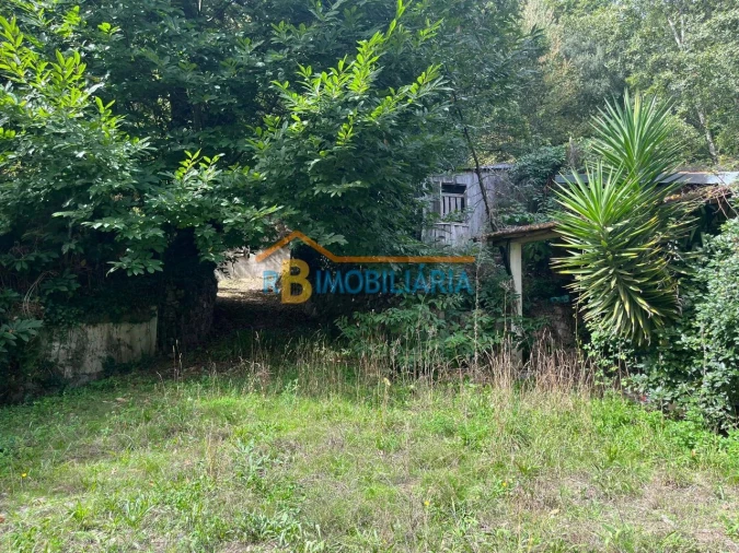 Quinta T2 para Venda em Arouca Foto 19