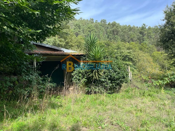 Quinta T2 para Venda em Arouca Foto 20