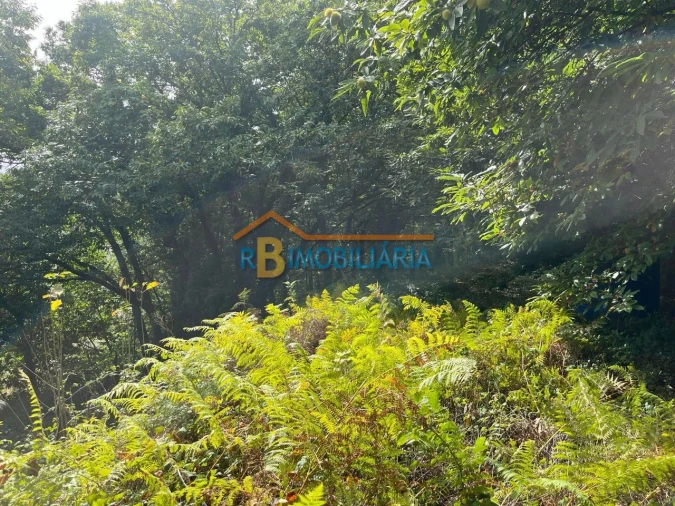 Quinta T2 para Venda em Arouca Foto 29