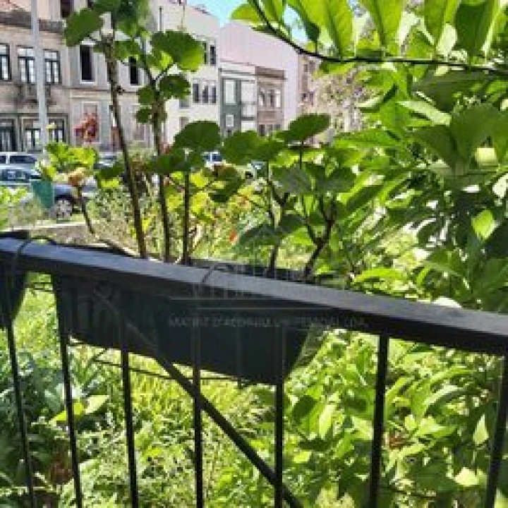 Apartamento T2 para Venda em Porto Foto 18