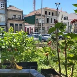 Apartamento T2 para Venda em Porto
